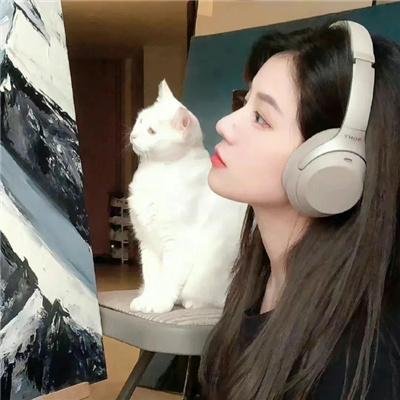 直言真相第一季